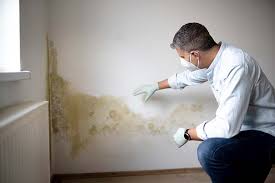 Best HVAC Mold Inspection and Cleaning in USA